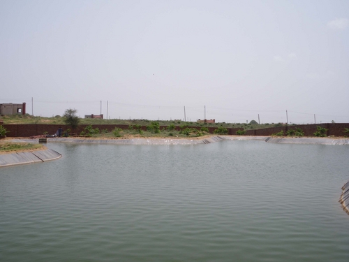 Lake Liner