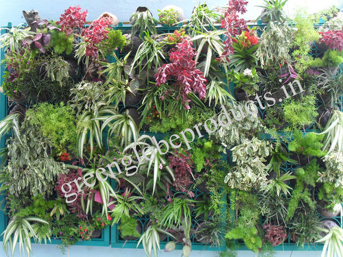 Vertical Garden Accessories