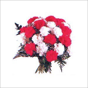 Carnations Flowers