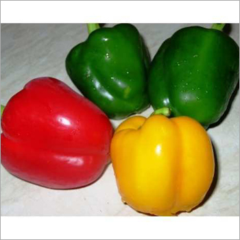 Coloured Capsicum
