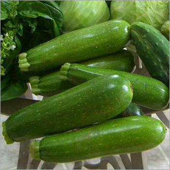 Zucchini Vegetable Zucchini Vegetable