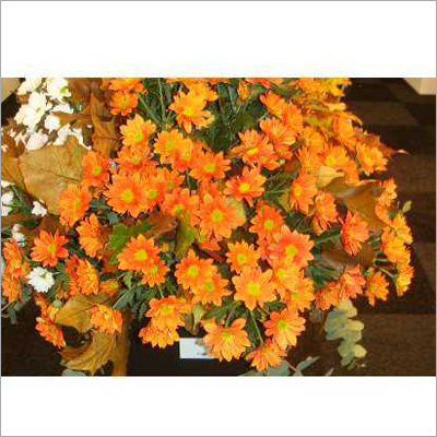 Fresh Flower