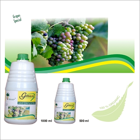 Grapes Special Gmax