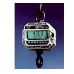 Crane Scale