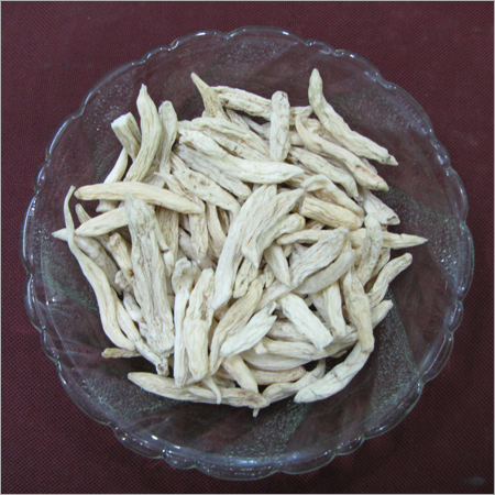 Chlorophytum Tuberosum Root
