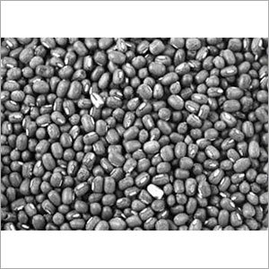 Black Gram