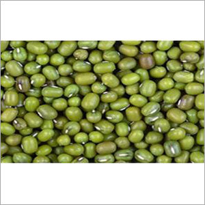 Green Gram Mung Bean