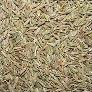 Cuminm Seed