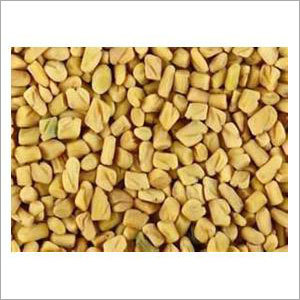 Fenugreek