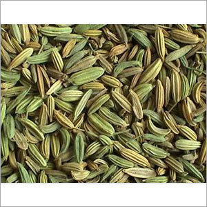 Fennel