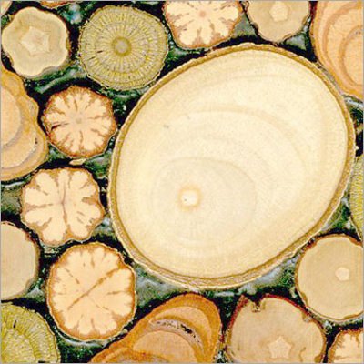 Wood Logs Panel