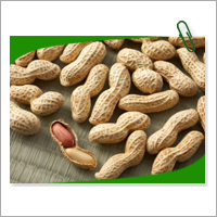 Roasted Peanuts