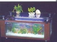Table Aquarium CF 1200-A