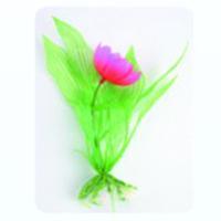 Barwell Plant E 2032