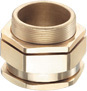 Nickle Plated Brass And Ss A1/a2 Type Cable Glands