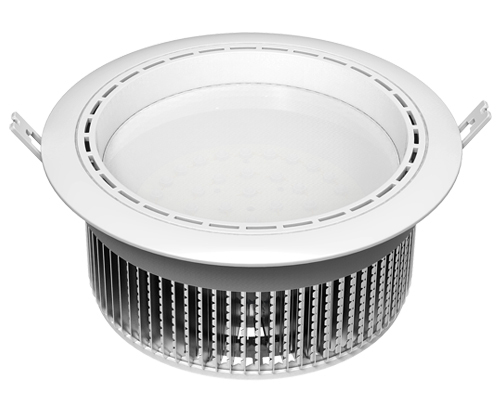 LED Downlight 30W