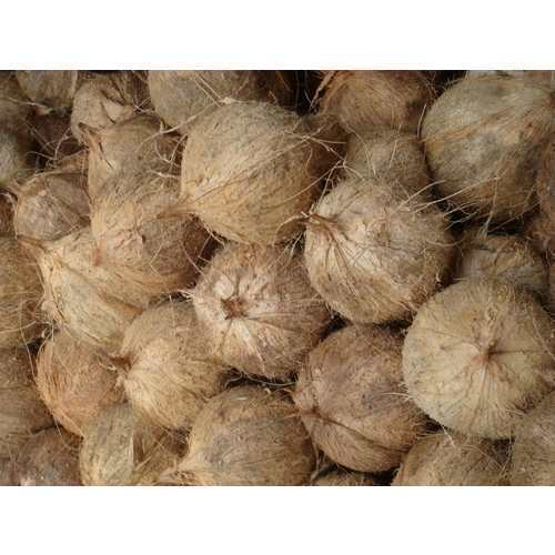 Coconuts