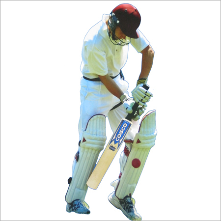 Cricket Bat