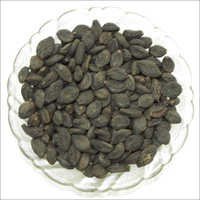 Terminalia Chebula Seeds