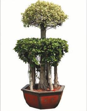 Outdoor Artificial Trees