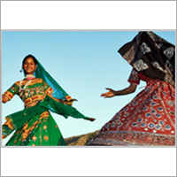 Golden Triangle with Camel Safari Tour