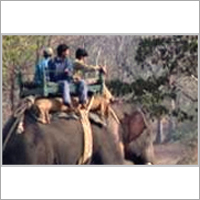 North India Birding Tour
