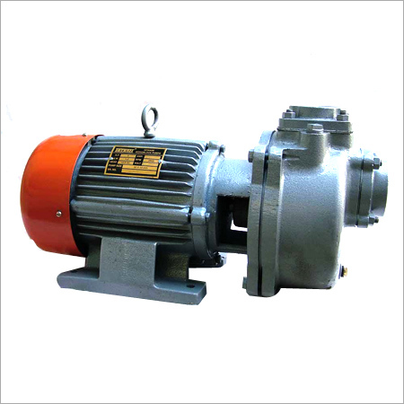 2 HP Mud Mono Motor