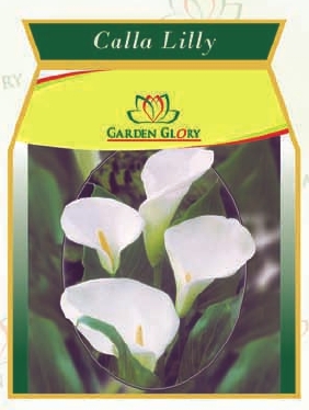 Calla Lilly Flower Bulbs