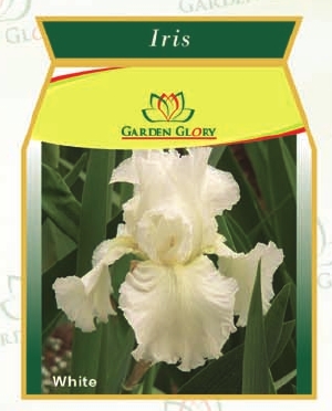 Flower Bulbs - Iris-Lillium