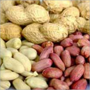 Groundnuts - Java & Bold Varieties, Count 40-160 | High Protein 40-45%, Fiber 10-14%, Low Fat 1.5% Max, Aflatoxin NA