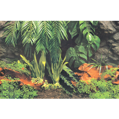 Barwell Poster 12' (S.S)