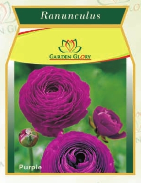 Silk Ranunculus Flower