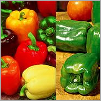 Capsicum