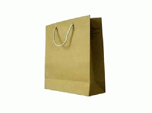 Kraft Paper Bag