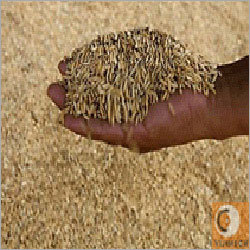Grain Based Distillaries