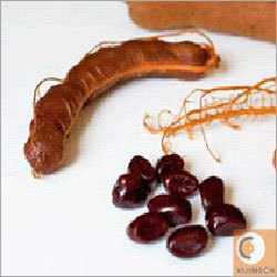Tamarind Processing Machines