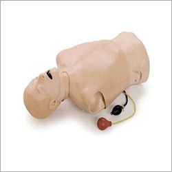 Deluxe Difficult Airway Trainer