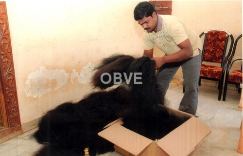 Human Hair Packaging