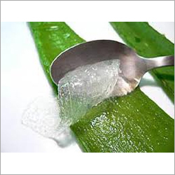 Aloe Vera Gel