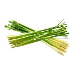 Lemon Grass