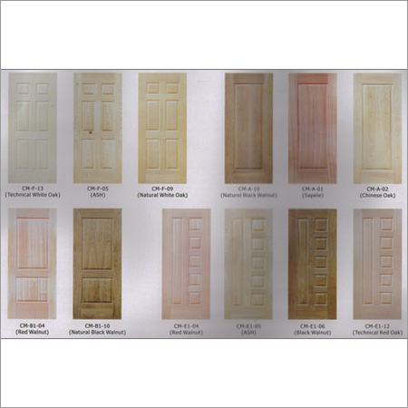 Door Skin