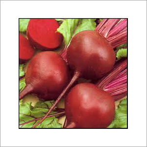 Beet Root
