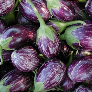 Brinjal