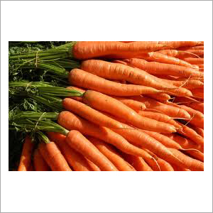 Carrot