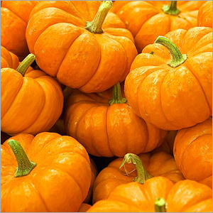 Pumpkin