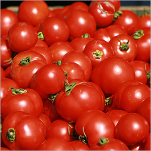 Red Tomatoes