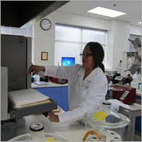 Flour Testing Services