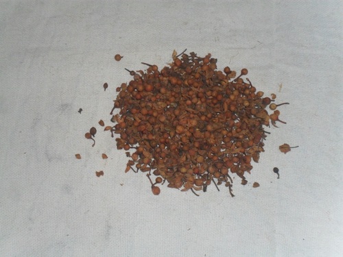 Nagkesar