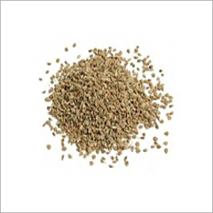 Light Brown Ajwain Seed Extracts