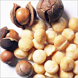 Macadamia Nut Oil By NAVCHETANA KENDRA HEALTH CARE PRIVATE LIMITED